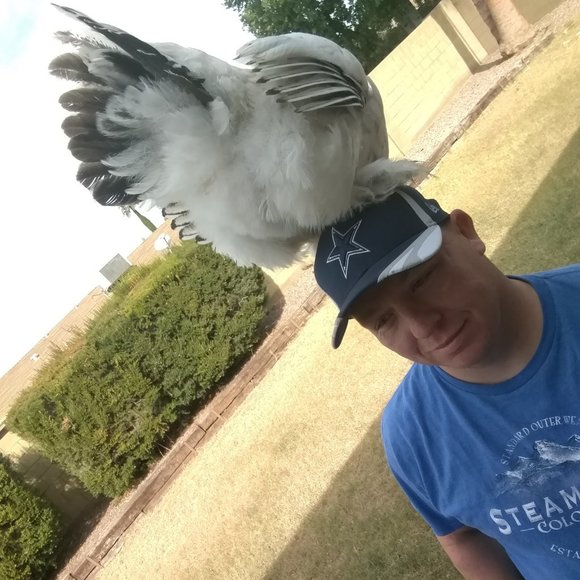 Meet your Posher, Jason - Picture 3 of 4